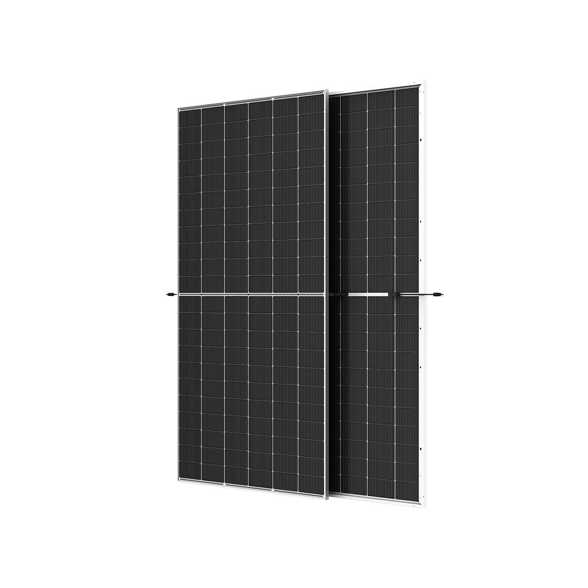 Trina TSM-615NEG19RC.20 Bifazial, weiß schraffiert, Glas/Glas, Vertex N - 36 Stück